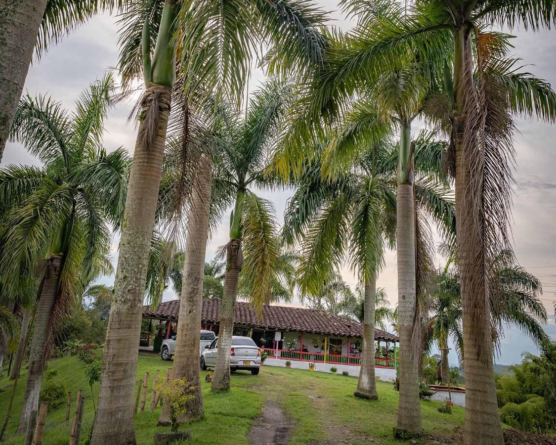 Rancho Chihuahua Hotel Filandia Buitenkant foto