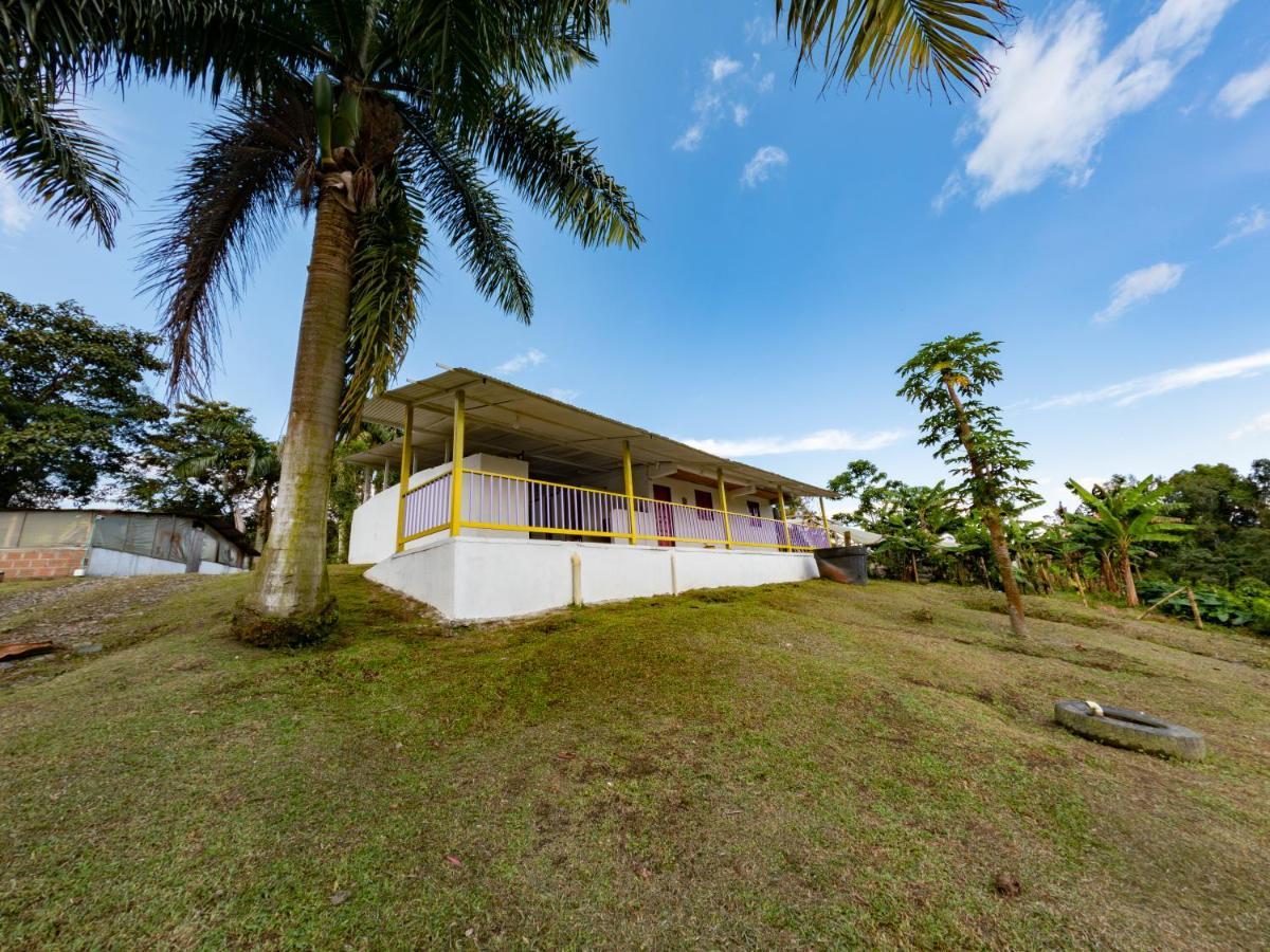 Rancho Chihuahua Hotel Filandia Buitenkant foto