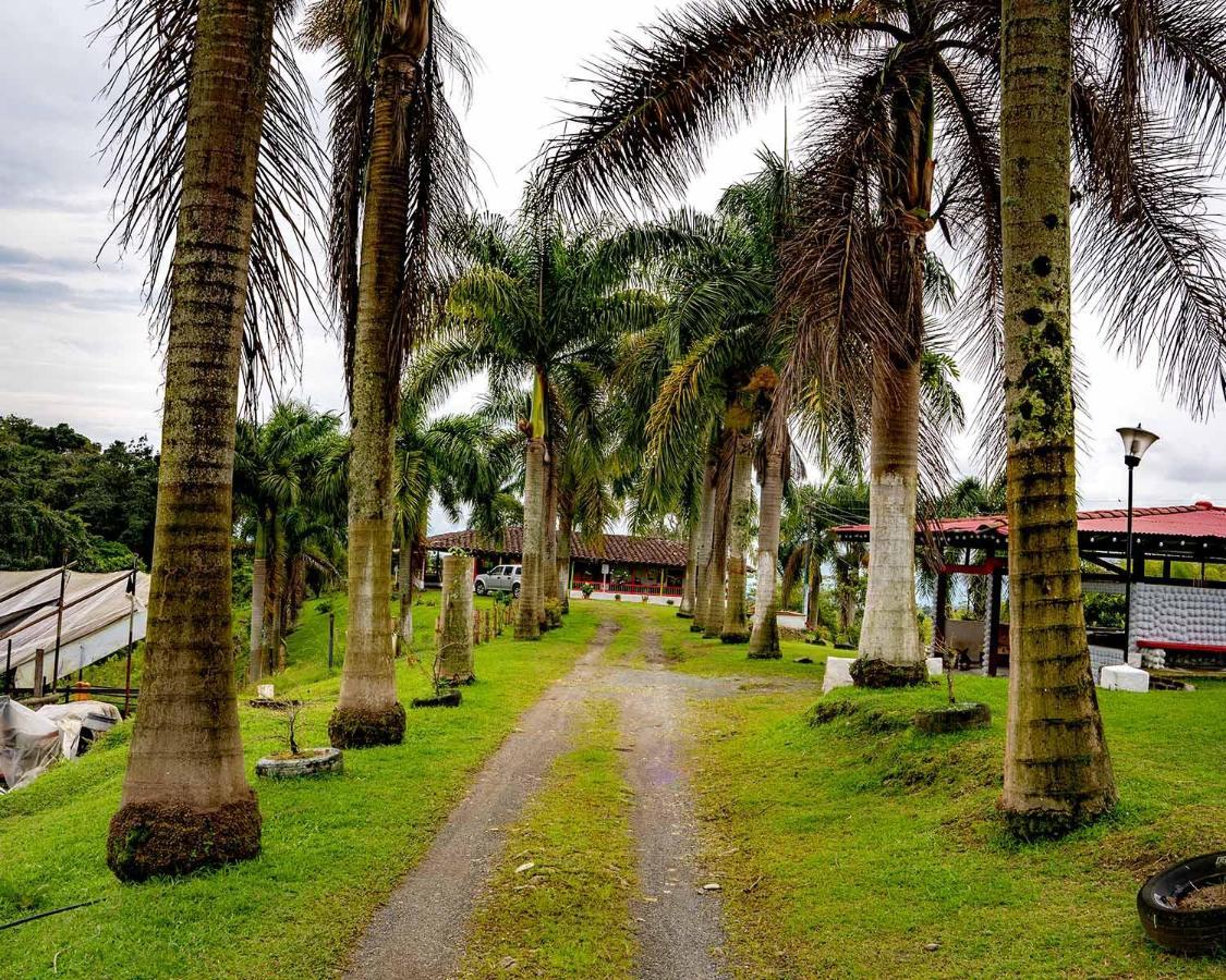 Rancho Chihuahua Hotel Filandia Buitenkant foto